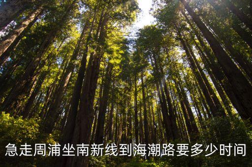 急走周浦坐南新線到海潮路要多少時間