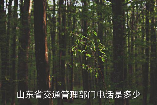 交管局電話，山東省交通管理部門電話是多少