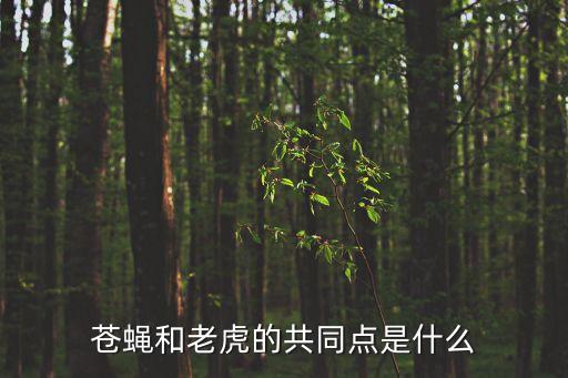 蒼蠅和老虎的共同點是什么