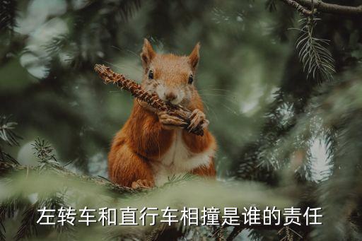 轉(zhuǎn)彎車輛被直行車輛撞了誰的責(zé)任，轉(zhuǎn)彎車輛與直行車輛相撞怎么劃分責(zé)任