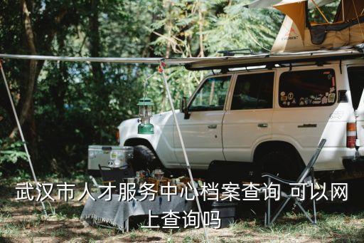 武漢市人才服務(wù)中心官網(wǎng)，大學(xué)生創(chuàng)業(yè)網(wǎng)