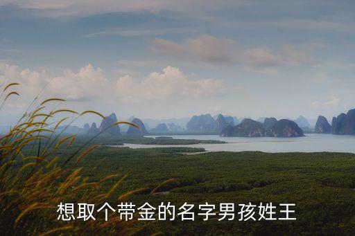 想取個帶金的名字男孩姓王