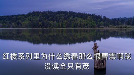 紅樓系列里為什么繡春那么恨曹震啊我沒讀全只有茂