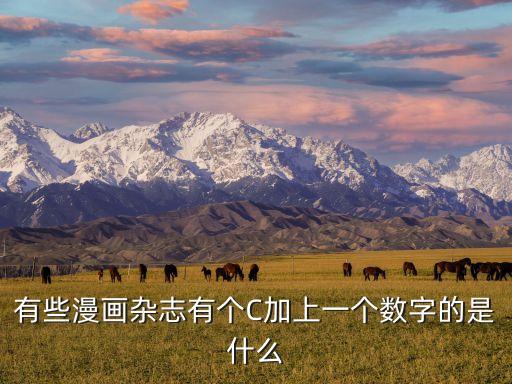 有些漫畫雜志有個(gè)C加上一個(gè)數(shù)字的是什么