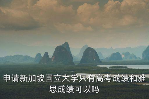 申請新加坡國立大學(xué)只有高考成績和雅思成績可以嗎