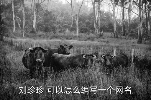 劉珍珍，劉珍珍 可以怎么編寫一個(gè)網(wǎng)名