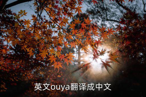 ouya，英文ouya翻譯成中文