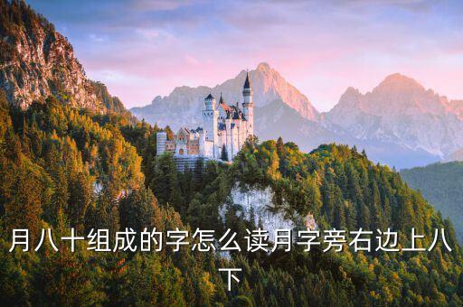 月八十，十一月十一日八十 八十
