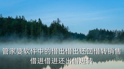 管家婆軟件中的借出借出還回借轉(zhuǎn)銷售借進借進還出借進轉(zhuǎn)