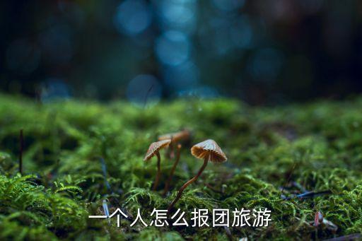 一個人怎么報(bào)團(tuán)旅游