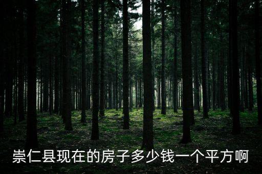 崇仁縣現(xiàn)在的房子多少錢一個平方啊