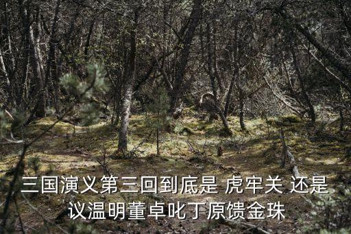 溫明，三國(guó)演義第三回到底是 虎牢關(guān) 還是 議溫明董卓叱丁原饋金珠