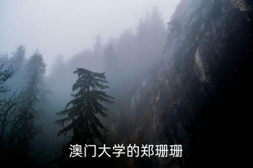鄭珊珊，鄭珊珊和劉宏亮有沒(méi)有緣分成為夫妻