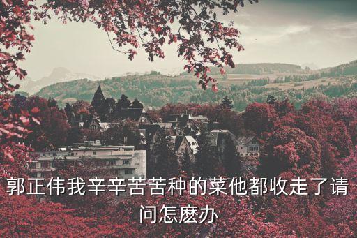 郭正偉，郭正偉你在哪