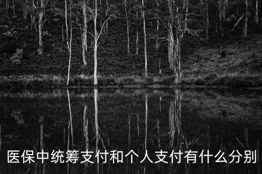 醫(yī)保中統(tǒng)籌支付和個(gè)人支付有什么分別