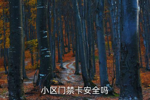 小區(qū)門禁卡安全嗎
