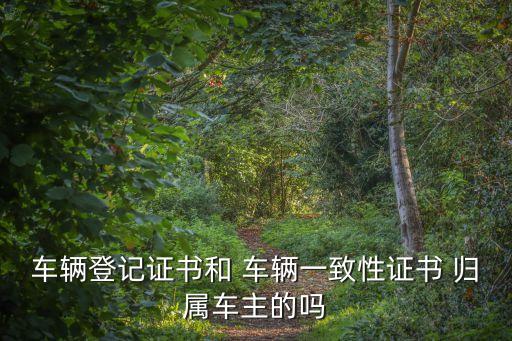 車輛登記證書和 車輛一致性證書 歸屬車主的嗎