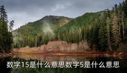數(shù)字15是什么意思數(shù)字5是什么意思