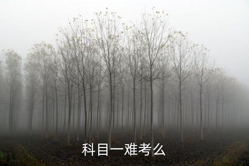 科目一考試難不難，科目一考試難嗎