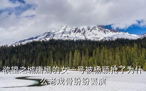 欲望之城唐嫣的女一號(hào)被楊穎搶了為什么老戲骨紛紛罷演