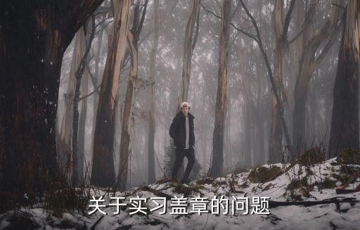 實(shí)習(xí)蓋章，實(shí)習(xí)報(bào)告蓋什么章