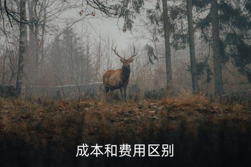 成本和費(fèi)用，成本和費(fèi)用有什么區(qū)別