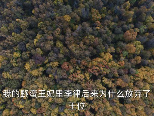 我的野蠻王妃里李律后來(lái)為什么放棄了王位