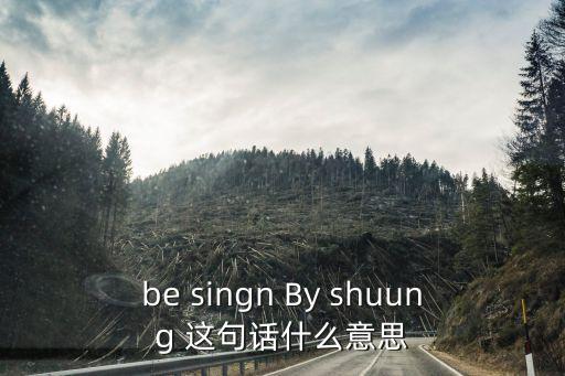 besign，be singn By shuung 這句話什么意思