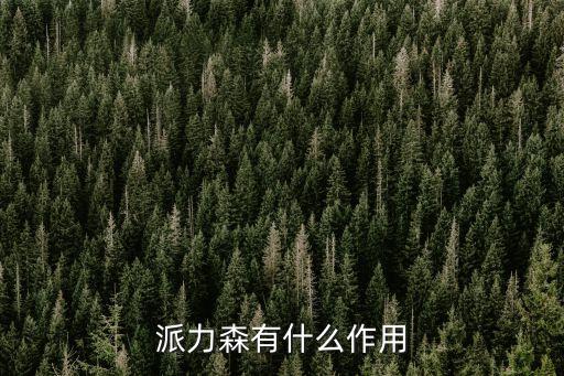 派力森，派力森是什么