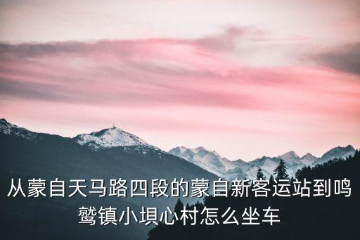 從蒙自天馬路四段的蒙自新客運站到鳴鷲鎮(zhèn)小垻心村怎么坐車