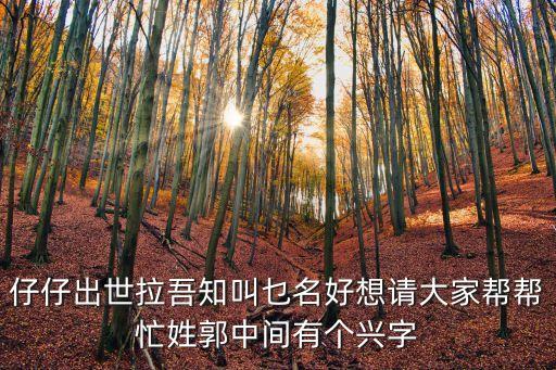 郭興文，仔仔出世拉吾知叫乜名好想請(qǐng)大家?guī)蛶兔π展虚g有個(gè)興字