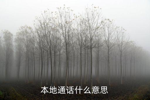 本地通話，本地通話是什么意思