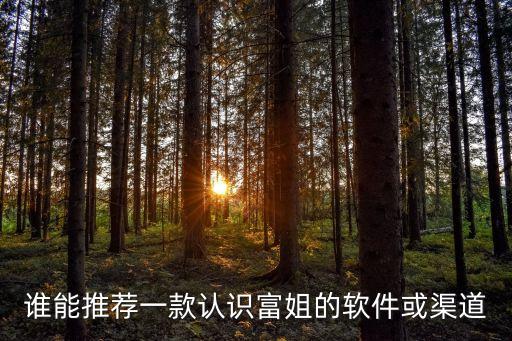 富婆交友，誰(shuí)能推薦一款認(rèn)識(shí)富姐的軟件或渠道