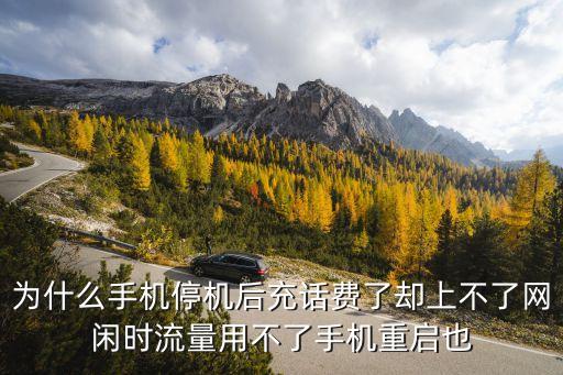 uc批扣，為什么手機(jī)停機(jī)后充話費(fèi)了卻上不了網(wǎng)閑時流量用不了手機(jī)重啟也