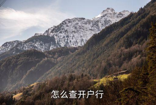怎么查開戶行