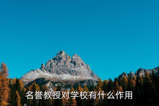 名譽(yù)教授，龍之谷名譽(yù)教授稱號(hào)怎么獲得啊