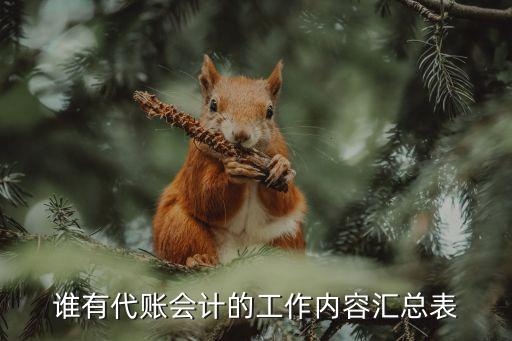代理記賬工作內(nèi)容，誰有代賬會(huì)計(jì)的工作內(nèi)容匯總表