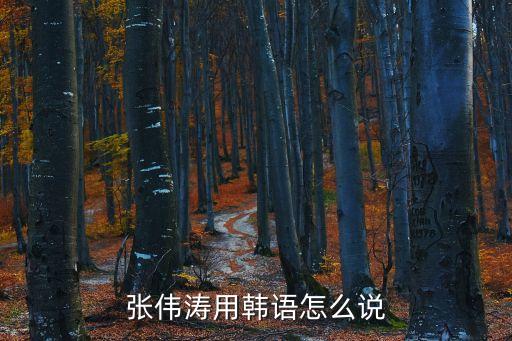 張偉濤，張偉濤用韓語(yǔ)怎么說(shuō)