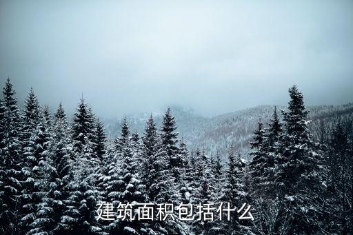 建筑面積包括什么