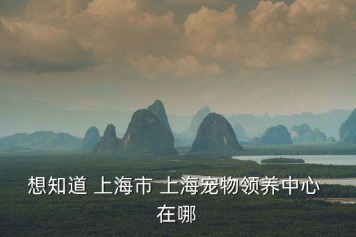 寵物收養(yǎng)中心，廣州天河區(qū)哪里有寵物收留中心
