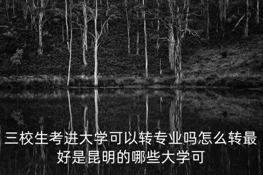 大學(xué)轉(zhuǎn)專業(yè)，三校生考進(jìn)大學(xué)可以轉(zhuǎn)專業(yè)嗎怎么轉(zhuǎn)最好是昆明的哪些大學(xué)可