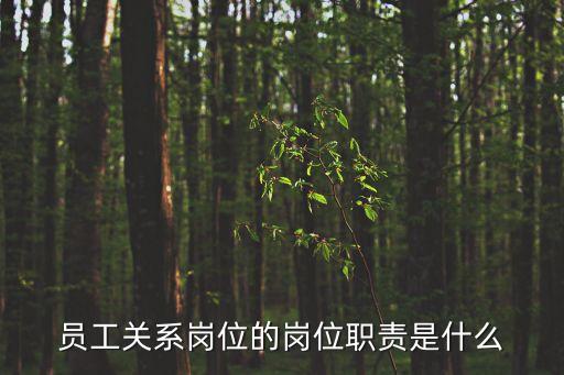 員工關系崗位職責，員工關系崗位的崗位職責是什么
