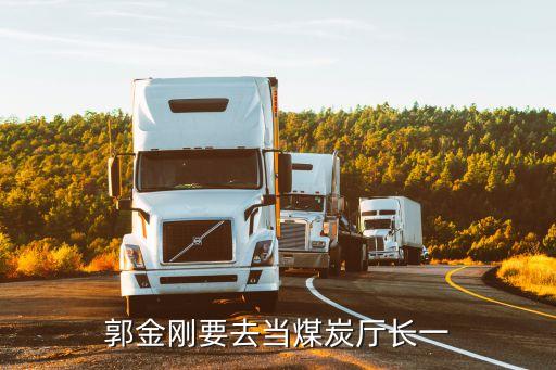 郭金剛要去當(dāng)煤炭廳長(zhǎng)一