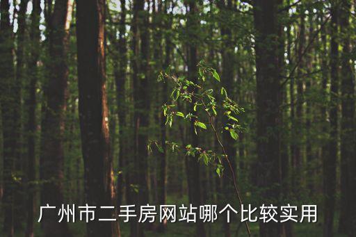 廣州市二手房網(wǎng)站哪個(gè)比較實(shí)用