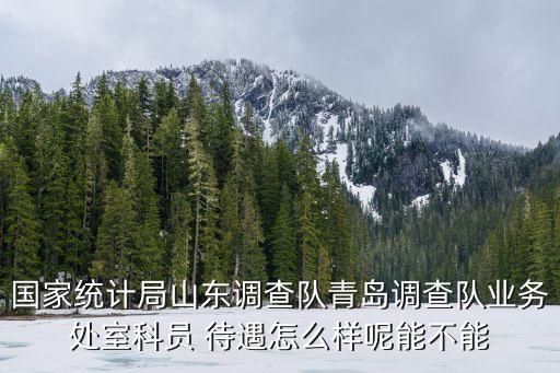 青島統(tǒng)計局，國家統(tǒng)計局山東調(diào)查隊青島調(diào)查隊業(yè)務(wù)處室科員 待遇怎么樣呢能不能