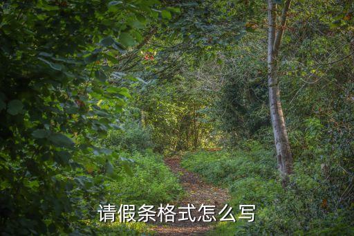 請假條格式怎么寫