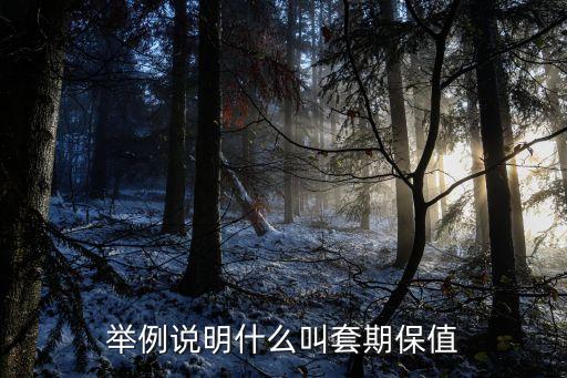 套期保值什么意思，套期保值能賺到錢嗎