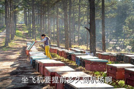 提前多久去機場，坐飛機要提前多久到機場啊