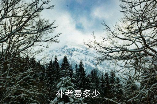 補(bǔ)考費(fèi)，學(xué)車補(bǔ)考費(fèi)用是多少