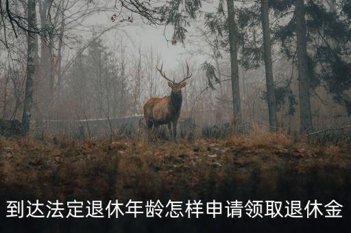 退休金怎么領(lǐng)取，到達(dá)法定退休年齡怎樣申請(qǐng)領(lǐng)取退休金